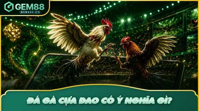 Đá gà cựa dao có ý nghĩa gì?