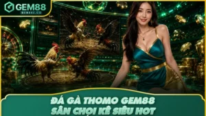 Đá Gà Thomo GEM88 – Sân Chơi Khó Cưỡng Của Kê Thủ