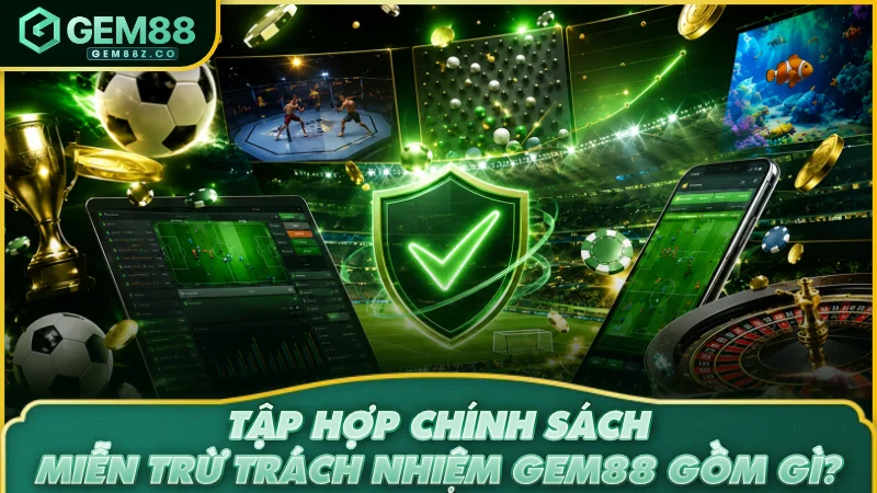Tập hợp chính sách miễn trừ trách nhiệm GEM88 gồm gì?